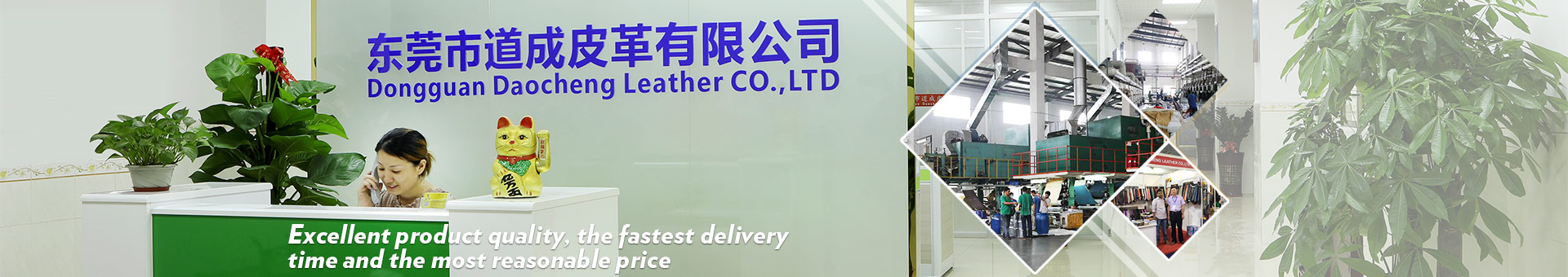 Dongguan Daocheng Leather Co., LTD